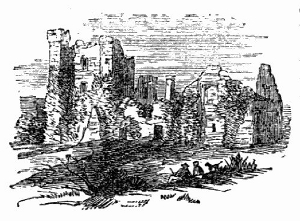 Bective Abbey